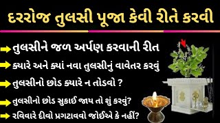 દરરોજ તુલસીની પૂજા કેવી રીતે કરવી | તુલસીને જળ અર્પણ કરવાની રીત | તુલસી ક્યાં રાખવી | તુલસી પૂજા