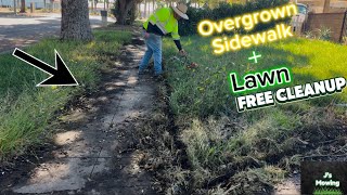 cleaning up overgrown sidewalk + lawn (Free clean up)