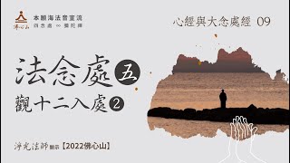 【心經與大念處經的經法與禪法09】法念處5──觀十二入處2【字幕版】__淨光法師開示