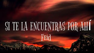 Feid - Si Te La Encuentras Por Ahí (Letra/Lyrics)