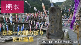 熊本 阿蘇「杖立温泉」 日本一の鯉のぼり　2024