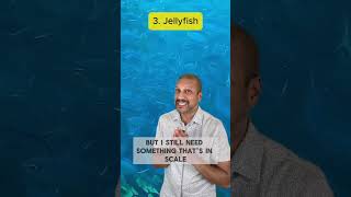 Text Similarity Techniques: Lexical, Semantic, and Hashing
