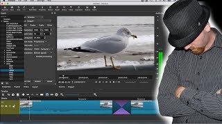 ShotCut Tutorial - All Beginners Need to Know to Get Started With the ShotCut Video Editor