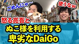 怒る弟（松丸亮吾）とDaiGoの猫ぬこ様を利用する卑劣なDaiGo【DaiGo切り抜き】