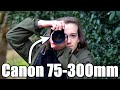 POV Wildlife Photography with Canon's 75-300mm Lens and a Chance of Rain!