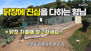 흑시골청계 닭장에 진심을 다하는 형님, 닭장 지을 때 참고하세요~