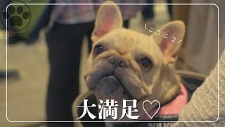 【お出かけ】遊びも休憩も買い物も全部愛犬たちと過ごせる最高の場所に行ってきました♡