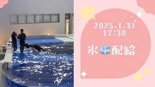 氷🧊配給　2025.1.31 17:30