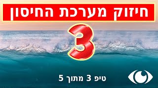 10 כללי תזונה לחיזוק המערכת החיסונית ואחד מהם ממש חשוב לשיפור הראייה - MALINSKY