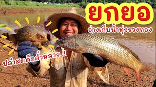 ยกยอ อ่างทุ่งรวงทอง ►Fishing lifestyle Ep.706