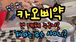 [라오일반]22.카오삐약!넌  대체 누구니? '퍼'와는 무슨 사이니?