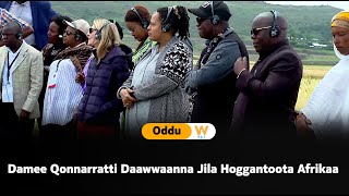 Damee Qonnarratti Daawwaanna Jila Hoggantoota Afrikaa