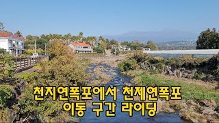 [제주도 한달살이] 천지연폭포~천제연폭포 구간 라이딩 2021.11.20토