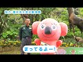 おしえて飼育員さん！動物園で学ぼう〜キリンへん〜🍙横浜市立金沢動物園に出かけたよ✨動物博士の第一歩！ニギリンジャーと一緒にキリンクイズに挑戦♪｜onigiri｜zoo｜animal｜