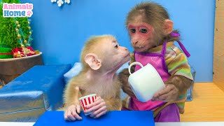 Nanny BiBi helps dad take care of little monkey Obi