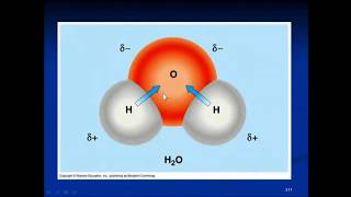 氢分子可以中和自由基 - 科学的解释 - Hydrogen Molecules can Neutralize Free Radicals - Scientific Explanation