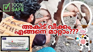 പ്രസവം കഴിഞ്ഞ് വരുന്ന അകിട് വീക്കം എങ്ങനെ മാറ്റാം? | Special thanks to Arun ആശാൻ😍