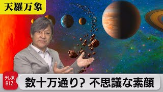 宇宙に数ある小惑星の数十万通りもある不思議な素顔とは【久保田解説委員の天羅万象】(51)（2021年11月5日）