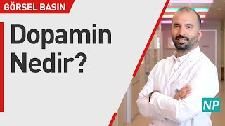 Dopamin Nedir?