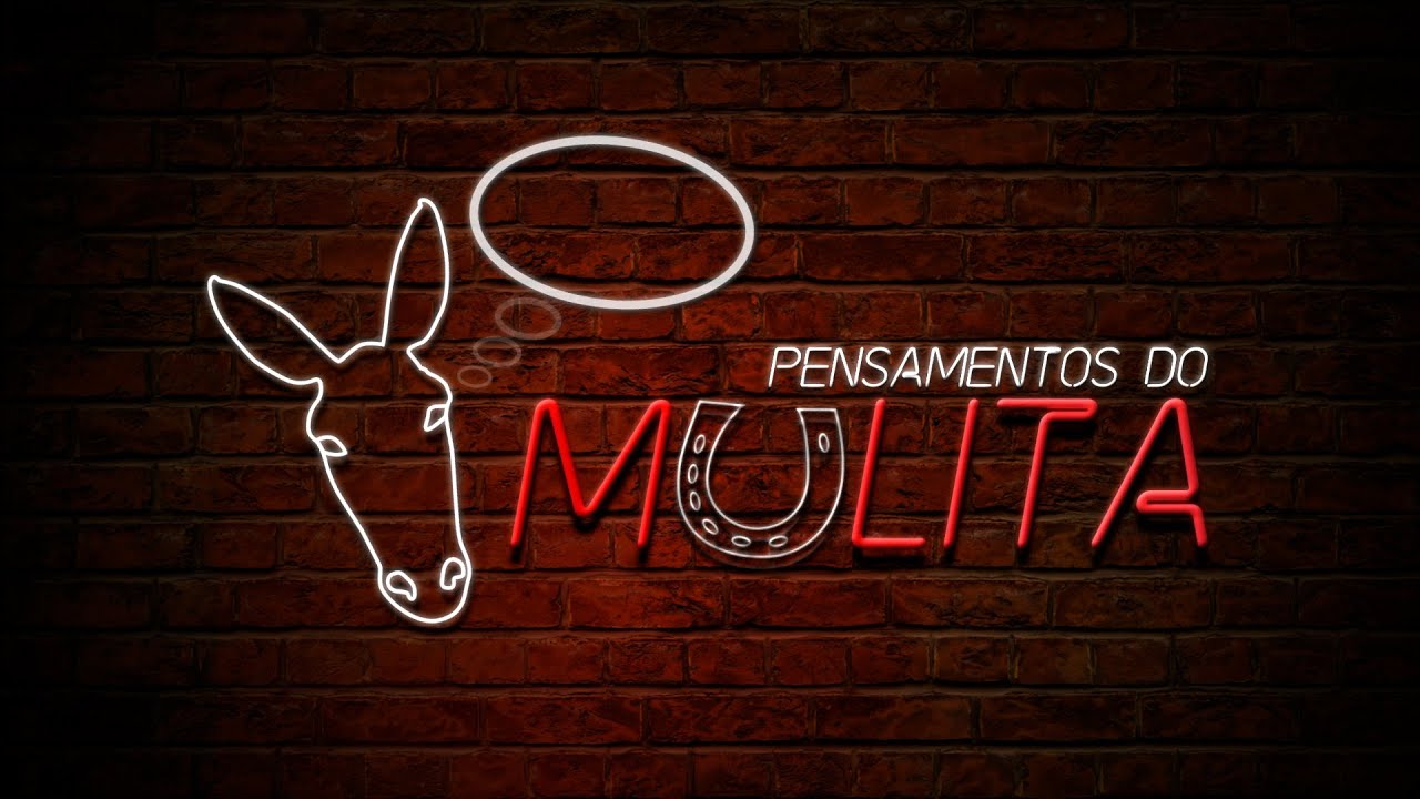 Piadas Mulita Pensamentos Do Mulita Youtube