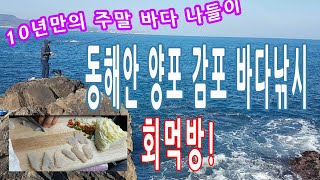 10년만에 주말 동해안 바다낚시 자연산회 먹방 양포 감포 방파제 학꽁치 조황