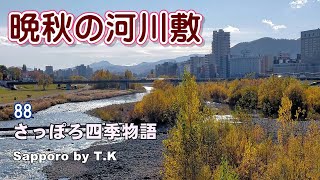 晩秋の河川敷　さっぽろ四季物語