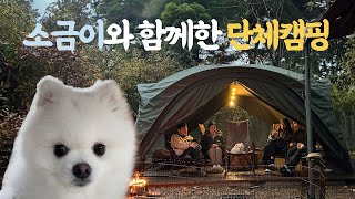 [칭구들과 단체캠핑 with 소금🐶] 짧지만 알찼던 1박 2일 애견동반 단체캠핑 / 쉬지않고 먹는 캠핑🏕️