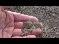 garden vermiculite