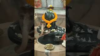 Shiv ♥️ #shiv #mahadev #reels #viral #snake #shivling