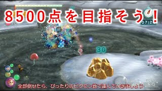 白銀の泉 8500点立ち回り解説【ピクミン3DX】