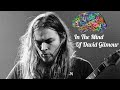 Comfortably Numb Guitar Solo: David Gilmour's Pentatonic Mastery. Guitar Improvisation Lesson