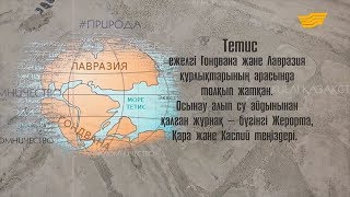Древний океан Тетис