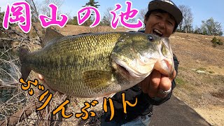 【岡山・野池】おかっぱりバス釣り /ブルフラット炸裂中に後ろから・・・