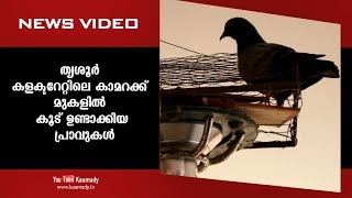 തൃശൂർ കളക്ട്രേറ്റിലെ കാമറക്ക് മുകളിൽ കൂട് ഉണ്ടാക്കിയ പ്രാവുകൾ