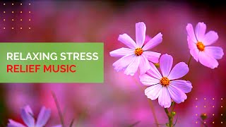 Relaxing Stress Relief Music, Meditation Music, Sleep Music, Study Music