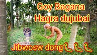 Goybaryanw Hagra Dujubai Hajira Hwnangbai