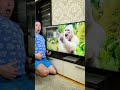 gorilla funny moment 🤣 shorts