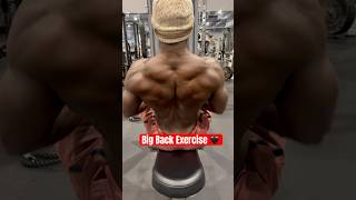 Big Back Exercise #backexercise #backworkout #back #bigback #bigbackworkout #leanbody #fatloss #fit