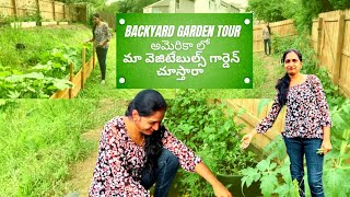 Our Backyard tour | NRI Home Tour | Backyard garden in USA | Telugu vlogs from usa