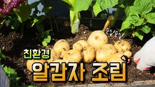 포슬포슬~쫀득쫀득~단짠단짠[알감자 조림]