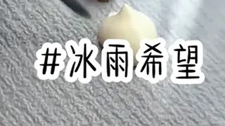 冰雨希望 炒鸡好看小说 评分9.5分以上的小说 女生爱看的小说 宝藏推文