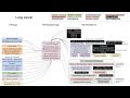 Lung cancer (mechanism of disease)