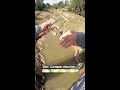 insane catch 30 feet in the air🤯 bridge fishing part 1