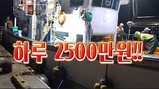 DMZ 수심 200m!! 죽기전에 한번은 무조건 먹어야합니다! /South Korea's Best Shrimp!