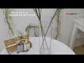 아티 s 실크플라워 미모사조화 새순 꽃가지 95cm 인테리어조화 mimosa artificial flowers branch