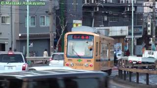 【都電荒川線】 東京都交通局 7000形／8500形 【7022号車／8502号車】