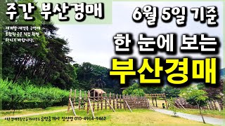 [주간부산경매] 한 눈에 보는 부산경매입니다. (6/5기준)