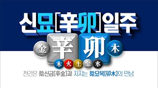 신묘일주론  신금[辛金]묘목[卯木]일주 풀이