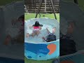 空気を入れないプール swimming pool infront the house shorts shortsvideo viral pool shortsfeed