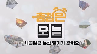 [대세남 인력사무소] 새콤달콤 논산 딸기가 왔어요~ / KBS대전 20250210 방송